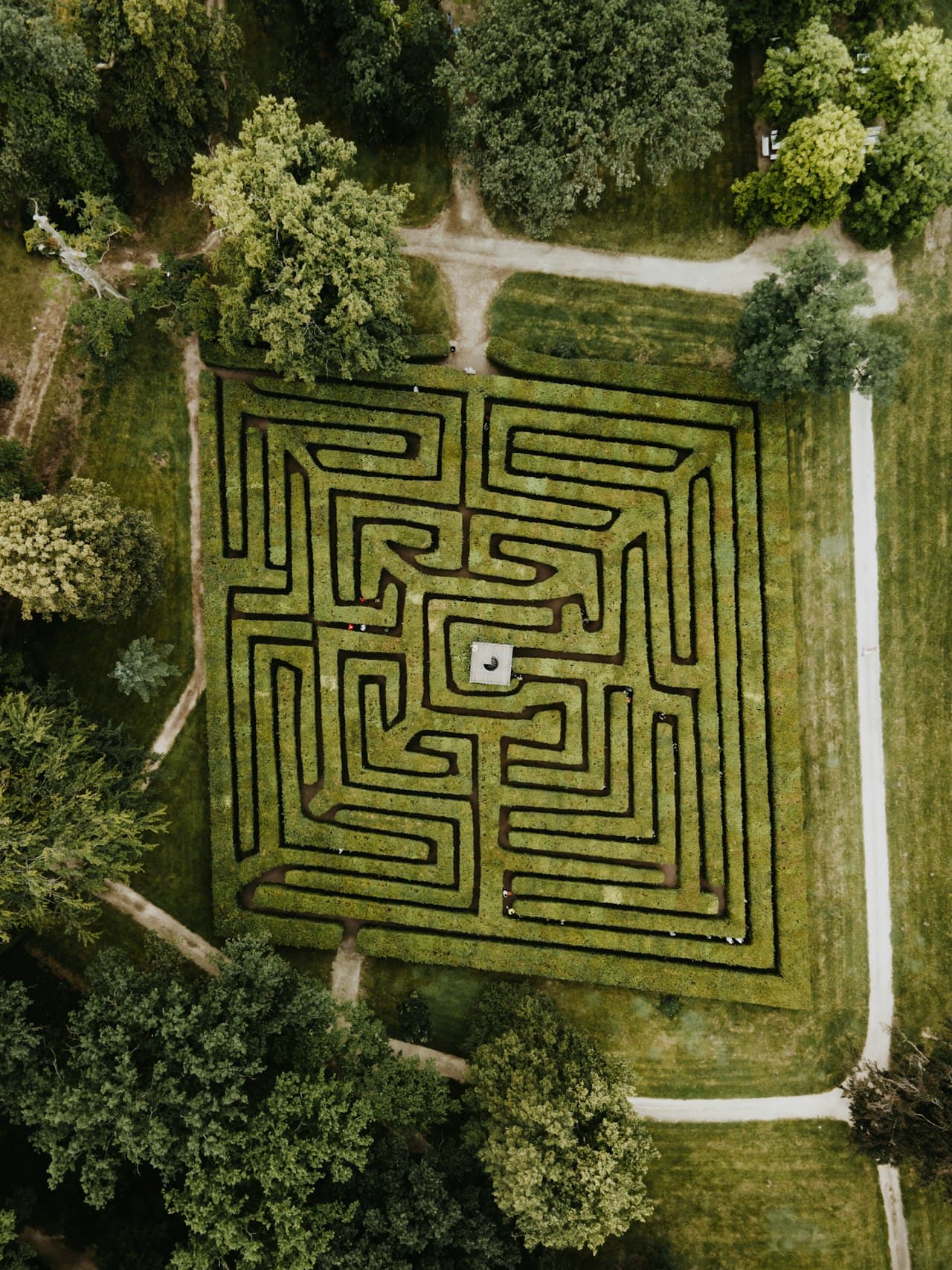 Vue aérienne d'un labyrinthe vert dans un champ